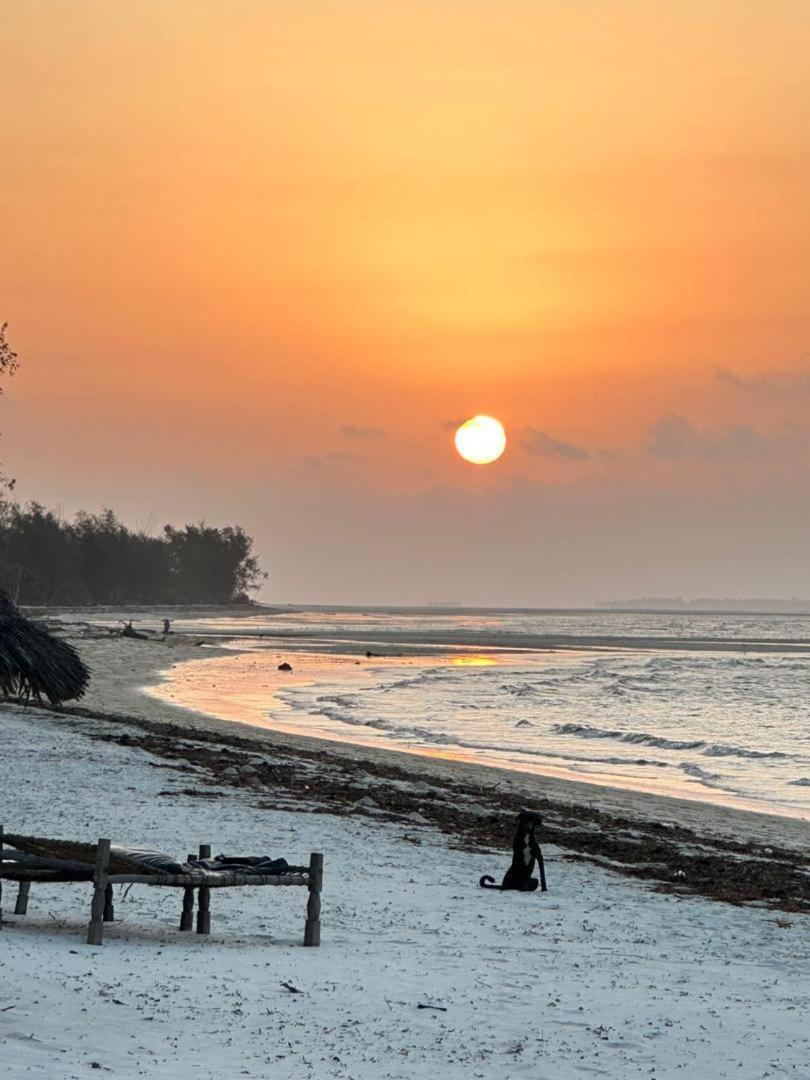 Juani Beach Bungalows Kilindoni Exterior foto